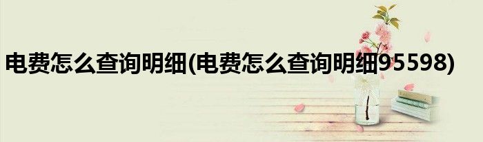 電費怎么查詢明細(電費怎么查詢明細95598)