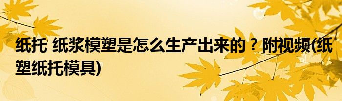 紙托 紙漿模塑是怎么生產出來的？附視頻(紙塑紙托模具)