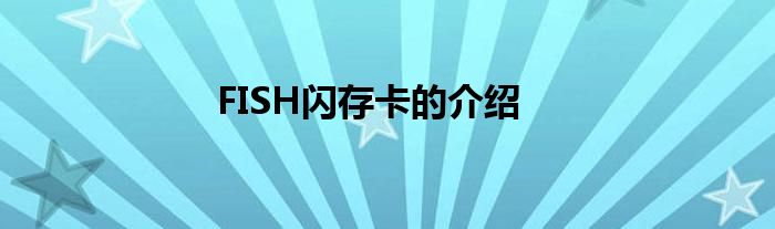 FISH閃存卡的介紹