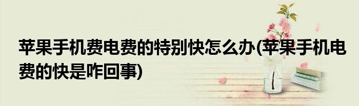 蘋果手機(jī)費(fèi)電費(fèi)的特別快怎么辦(蘋果手機(jī)電費(fèi)的快是咋回事)