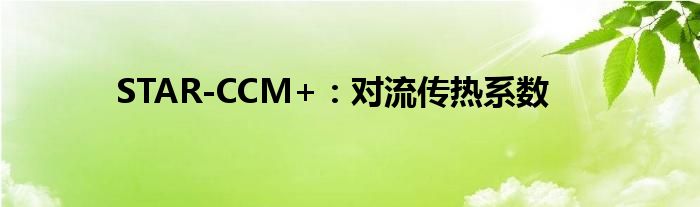 STAR-CCM+：對(duì)流傳熱系數(shù)