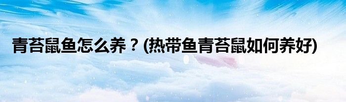 青苔鼠魚怎么養(yǎng)？(熱帶魚青苔鼠如何養(yǎng)好)