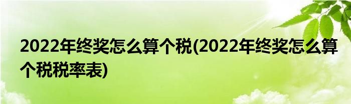 2022年終獎怎么算個稅(2022年終獎怎么算個稅稅率表)