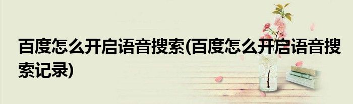 百度怎么開啟語(yǔ)音搜索(百度怎么開啟語(yǔ)音搜索記錄)