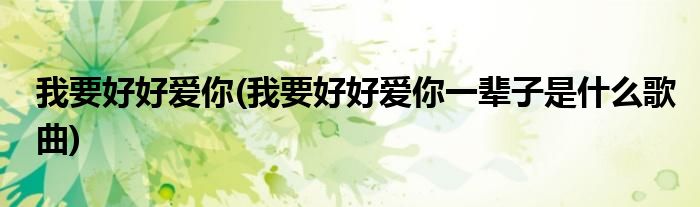 我要好好愛你(我要好好愛你一輩子是什么歌曲)