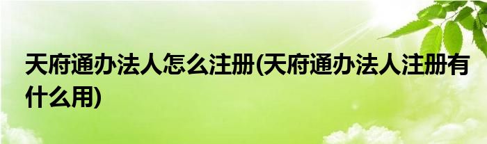 天府通辦法人怎么注冊(天府通辦法人注冊有什么用)