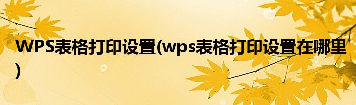 WPS表格打印設(shè)置(wps表格打印設(shè)置在哪里)