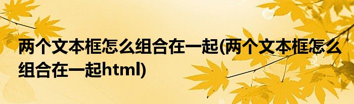 兩個文本框怎么組合在一起(兩個文本框怎么組合在一起html)