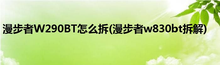 漫步者W290BT怎么拆(漫步者w830bt拆解)