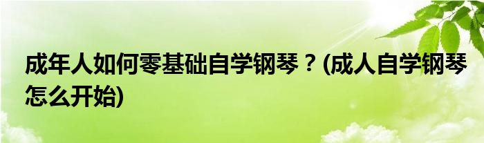 成年人如何零基礎(chǔ)自學鋼琴？(成人自學鋼琴怎么開始)