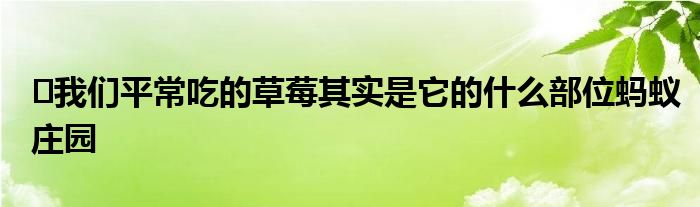 ?我們平常吃的草莓其實是它的什么部位螞蟻莊園
