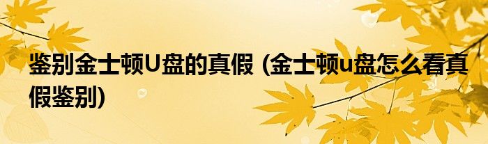 鑒別金士頓U盤(pán)的真假 (金士頓u盤(pán)怎么看真假鑒別)