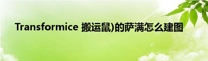 Transformice 搬運鼠)的薩滿怎么建圖