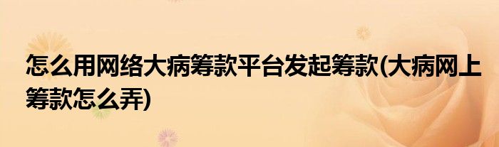 怎么用網(wǎng)絡(luò)大病籌款平臺(tái)發(fā)起籌款(大病網(wǎng)上籌款怎么弄)