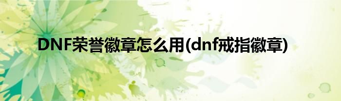 DNF榮譽(yù)徽章怎么用(dnf戒指徽章)