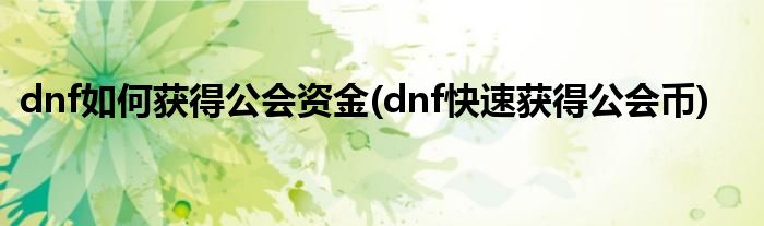 dnf如何獲得公會(huì)資金(dnf快速獲得公會(huì)幣)