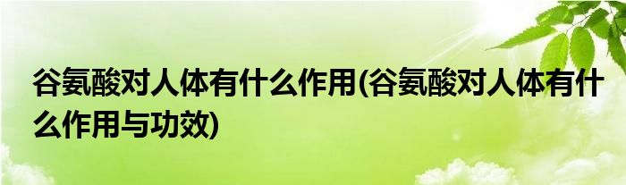 谷氨酸對(duì)人體有什么作用(谷氨酸對(duì)人體有什么作用與功效)