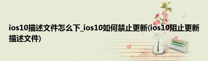 ios10描述文件怎么下_ios10如何禁止更新(ios10阻止更新描述文件)