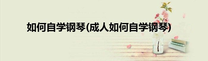 如何自學(xué)鋼琴(成人如何自學(xué)鋼琴)