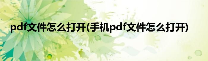 pdf文件怎么打開(kāi)(手機(jī)pdf文件怎么打開(kāi))