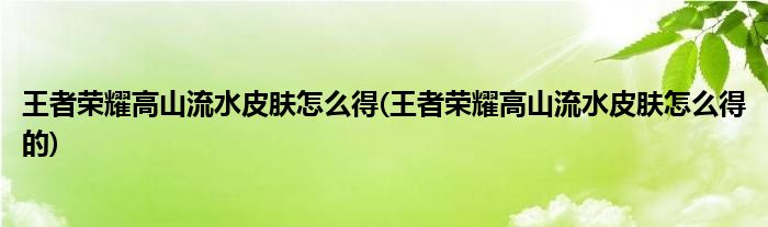 王者榮耀高山流水皮膚怎么得(王者榮耀高山流水皮膚怎么得的)