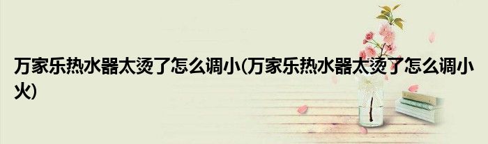 萬(wàn)家樂(lè)熱水器太燙了怎么調(diào)小(萬(wàn)家樂(lè)熱水器太燙了怎么調(diào)小火)