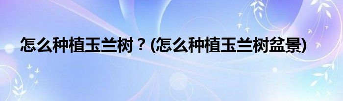怎么種植玉蘭樹？(怎么種植玉蘭樹盆景)