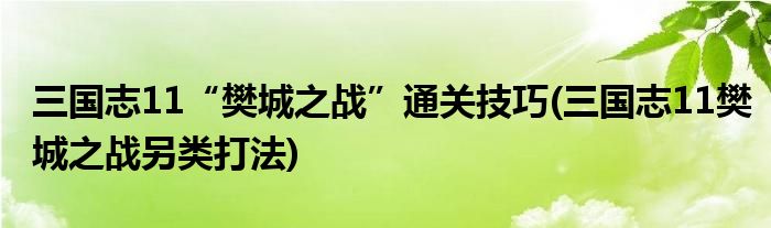 三國志11“樊城之戰(zhàn)”通關(guān)技巧(三國志11樊城之戰(zhàn)另類打法)