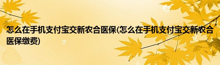 怎么在手機(jī)支付寶交新農(nóng)合醫(yī)保(怎么在手機(jī)支付寶交新農(nóng)合醫(yī)保繳費(fèi))