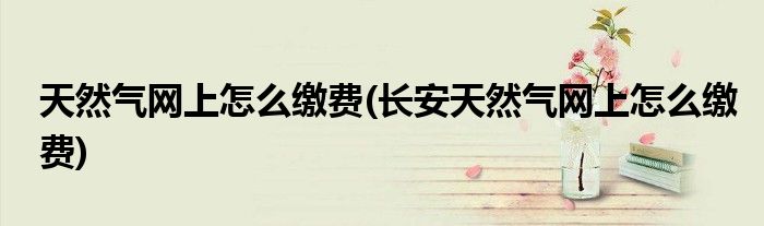天然氣網(wǎng)上怎么繳費(fèi)(長(zhǎng)安天然氣網(wǎng)上怎么繳費(fèi))