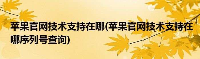 蘋果官網(wǎng)技術(shù)支持在哪(蘋果官網(wǎng)技術(shù)支持在哪序列號查詢)