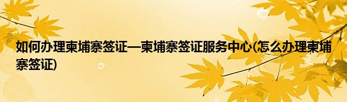 如何辦理柬埔寨簽證—柬埔寨簽證服務(wù)中心(怎么辦理柬埔寨簽證)