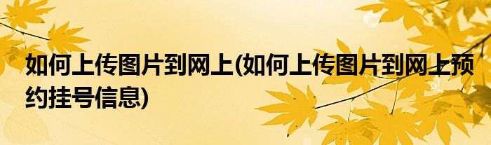 如何上傳圖片到網(wǎng)上(如何上傳圖片到網(wǎng)上預(yù)約掛號(hào)信息)