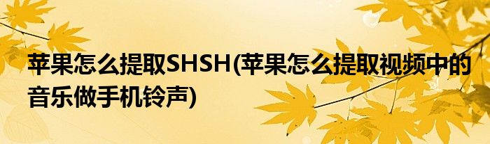 蘋果怎么提取SHSH(蘋果怎么提取視頻中的音樂做手機鈴聲)