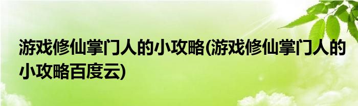 游戲修仙掌門人的小攻略(游戲修仙掌門人的小攻略百度云)