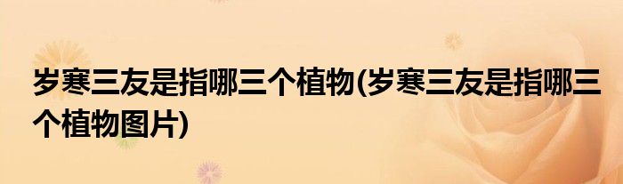 歲寒三友是指哪三個植物(歲寒三友是指哪三個植物圖片)