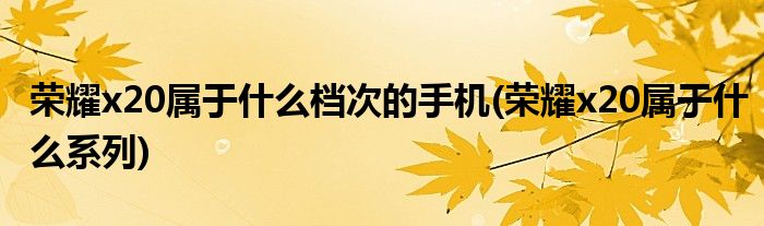榮耀x20屬于什么檔次的手機(榮耀x20屬于什么系列)