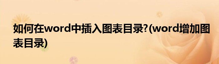 如何在word中插入圖表目錄?(word增加圖表目錄)