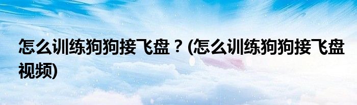 怎么訓練狗狗接飛盤？(怎么訓練狗狗接飛盤視頻)