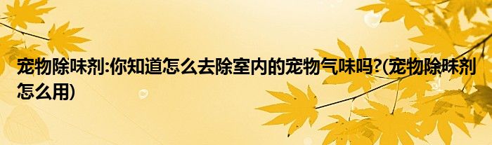 寵物除味劑:你知道怎么去除室內(nèi)的寵物氣味嗎?(寵物除味劑怎么用)
