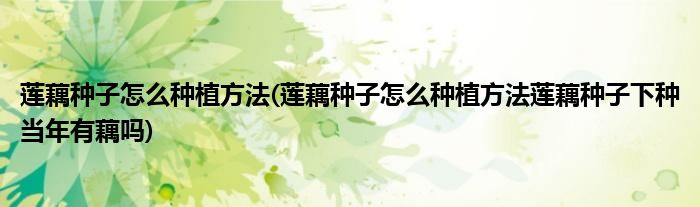 蓮藕種子怎么種植方法(蓮藕種子怎么種植方法蓮藕種子下種當(dāng)年有藕嗎)