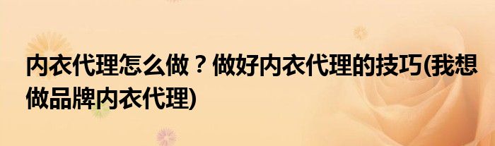 內(nèi)衣代理怎么做？做好內(nèi)衣代理的技巧(我想做品牌內(nèi)衣代理)