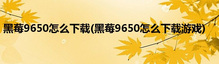 黑莓9650怎么下載(黑莓9650怎么下載游戲)