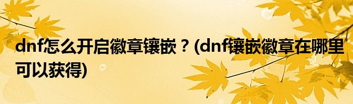 dnf怎么開啟徽章鑲嵌？(dnf鑲嵌徽章在哪里可以獲得)