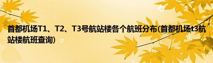 首都機(jī)場(chǎng)T1、T2、T3號(hào)航站樓各個(gè)航班分布(首都機(jī)場(chǎng)t3航站樓航班查詢)