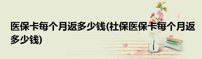 醫(yī)保卡每個(gè)月返多少錢(社保醫(yī)?？總€(gè)月返多少錢)