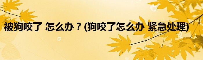 被狗咬了 怎么辦？(狗咬了怎么辦 緊急處理)