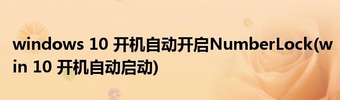windows 10 開機(jī)自動(dòng)開啟NumberLock(win 10 開機(jī)自動(dòng)啟動(dòng))