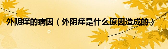 外陰癢的病因（外陰癢是什么原因造成的）