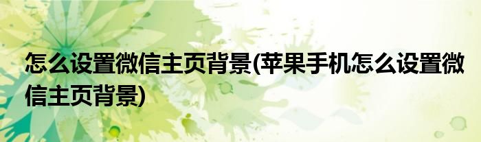 怎么設(shè)置微信主頁背景(蘋果手機(jī)怎么設(shè)置微信主頁背景)